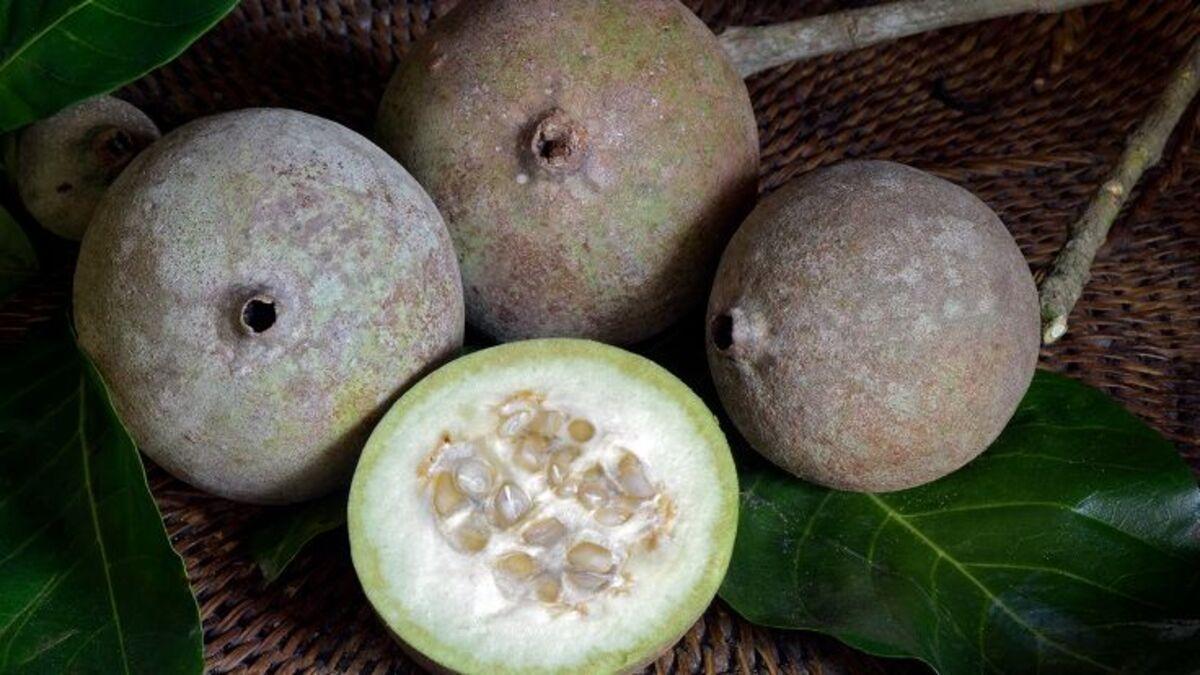 Jenipapo: o que é, para que serve e como fazer o suco - Ser Saúde ...